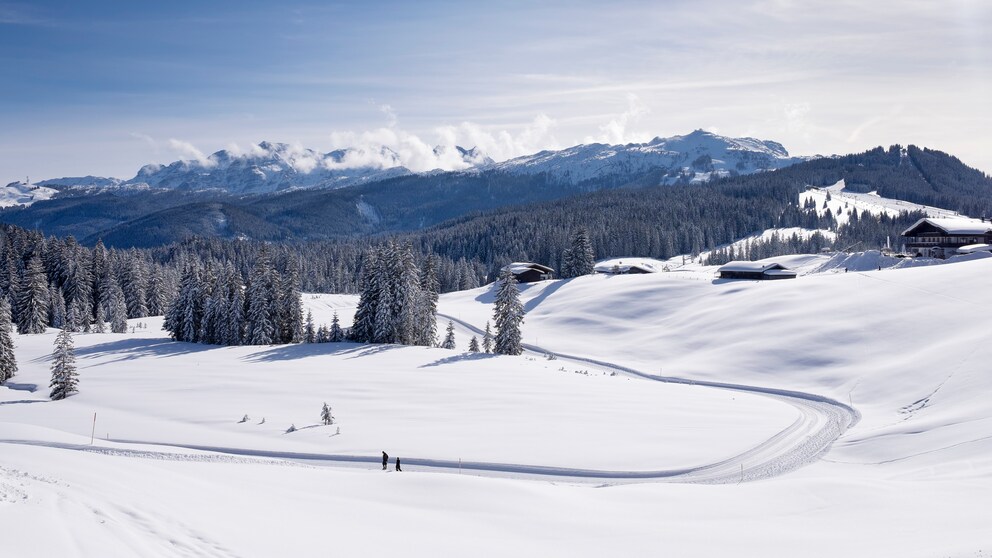 Laut skiresort.de das beste deutsche Skigebiet: Winklmoosalm