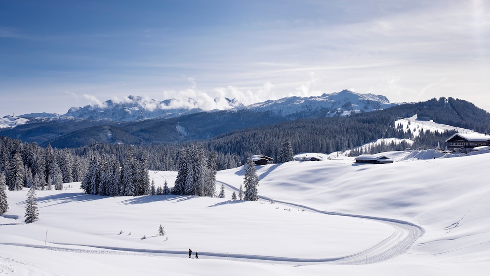 Laut skiresort.de das beste deutsche Skigebiet: Winklmoosalm