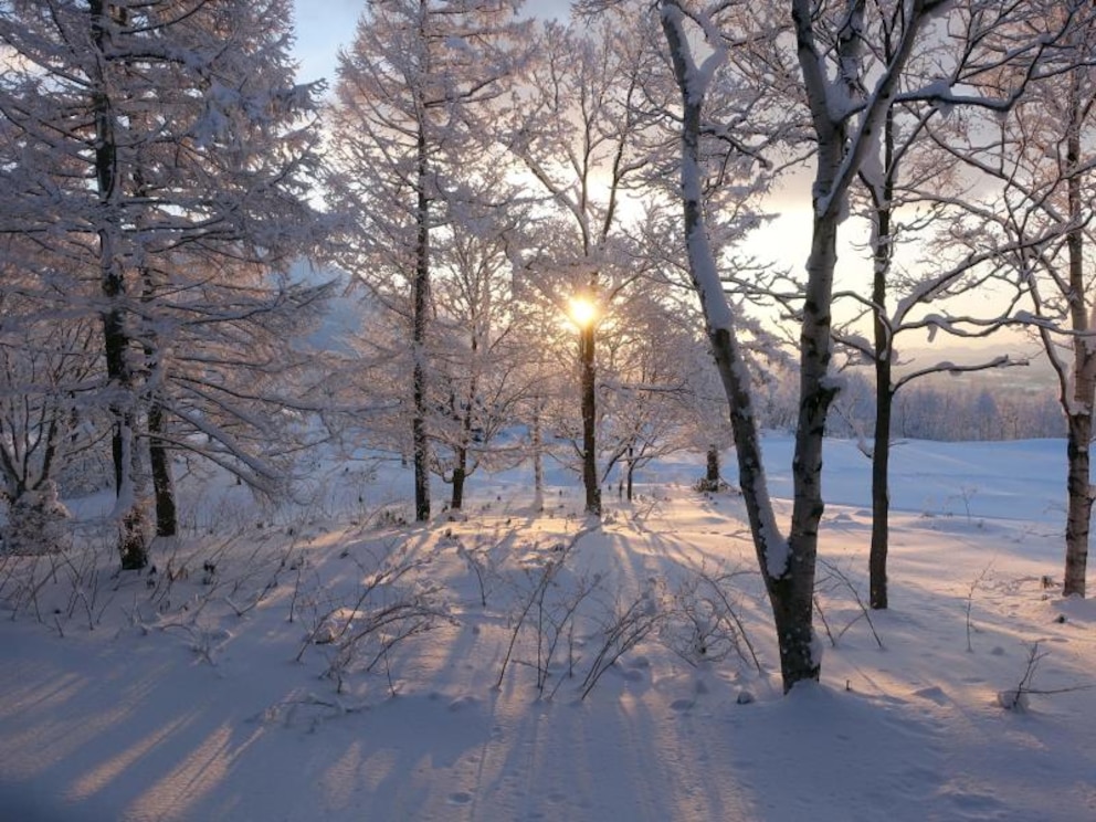 Skiparadies Hakkaido