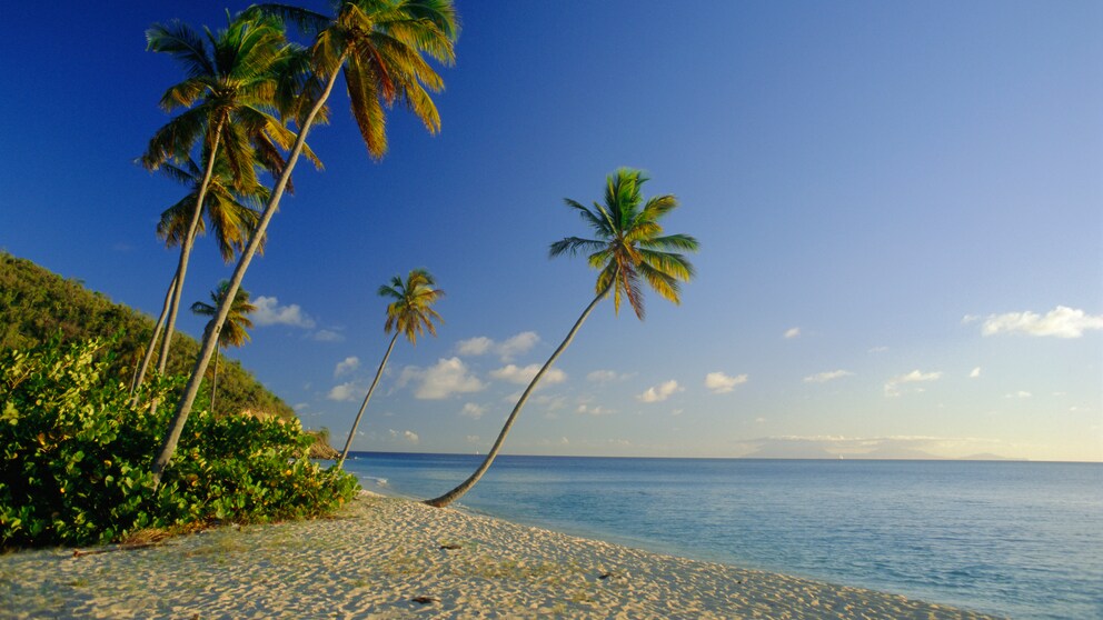 Strand auf der Insel Antigua, Karibik