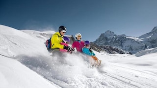 Schlittenbahn Big Pintenfritz