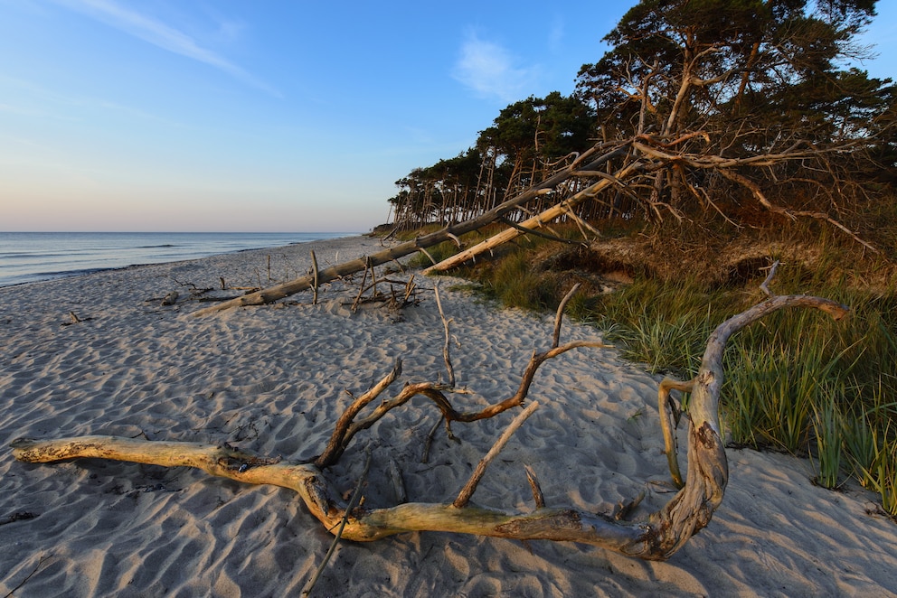 Darßer Weststrand