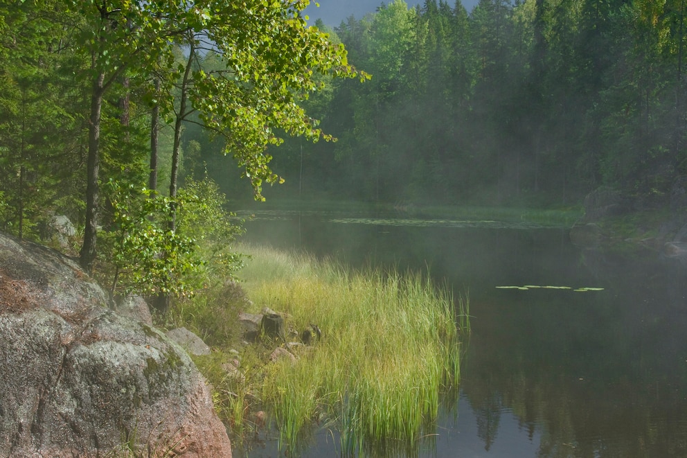 Nuuksio-Nationalpark Finnland