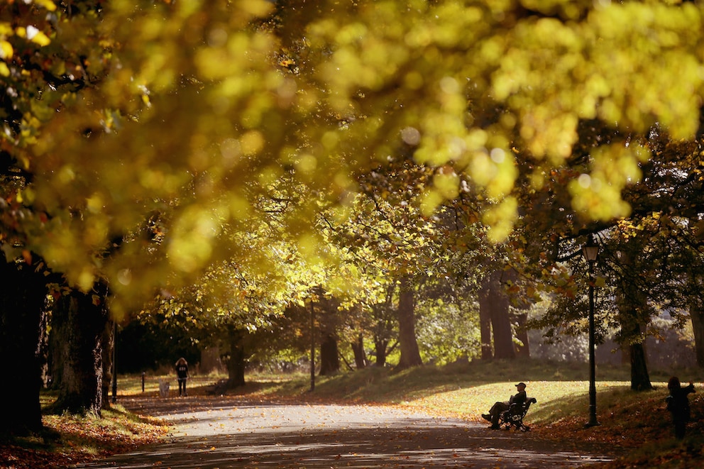 Sefton Park Liverpool