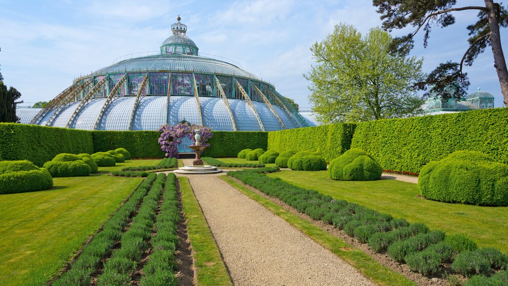 Königliche Gewächshäuser in Brüssel