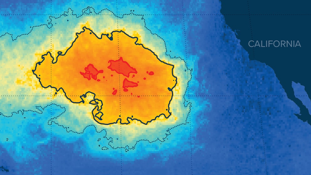 Grafik: Der Pazifische Müllstrudel