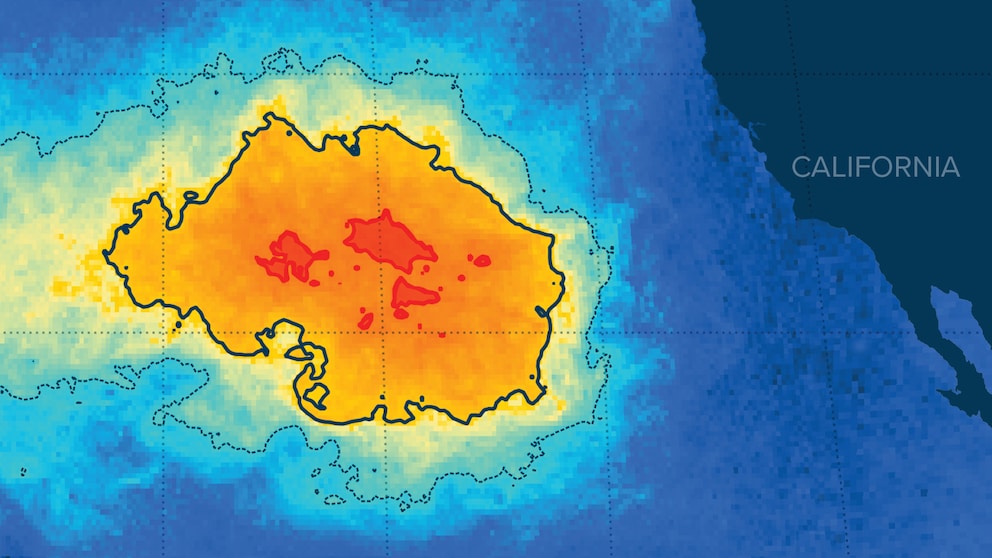 Grafik: Der Pazifische Müllstrudel