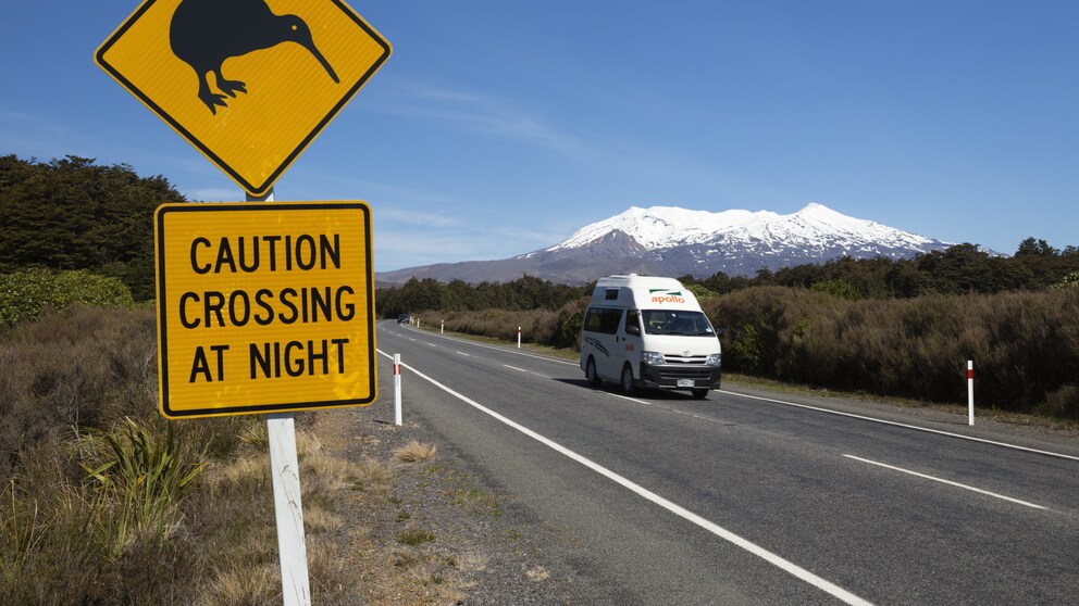 Mount Ruapehu, Neuseeland, Campevan