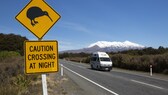 Mount Ruapehu, Neuseeland, Campevan