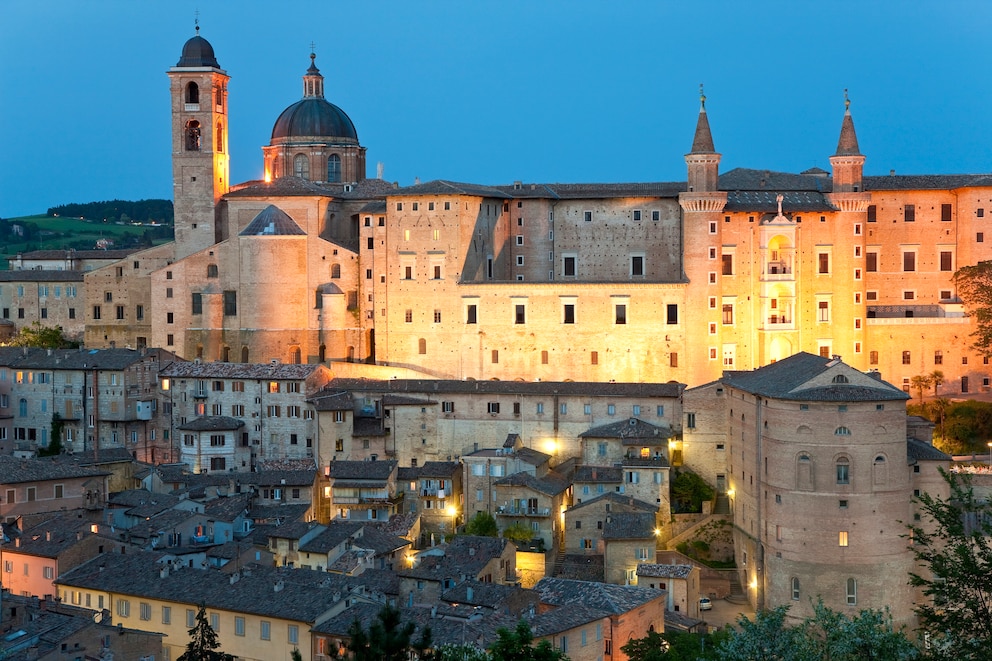 Urbino