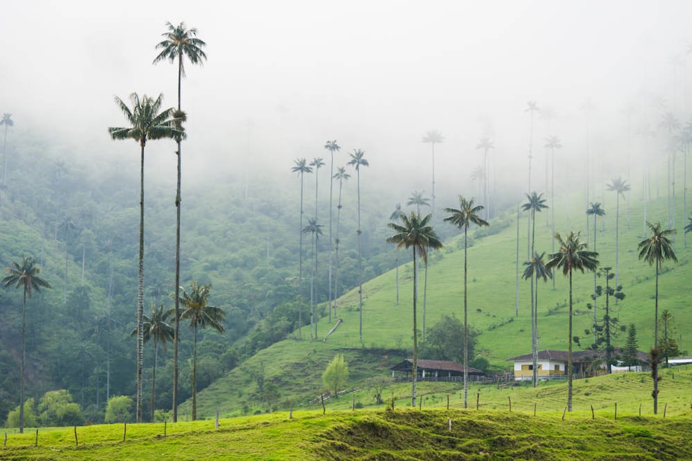 Colombia Highlights