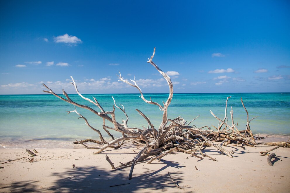 Die kubanische Insel Cayo Jutias