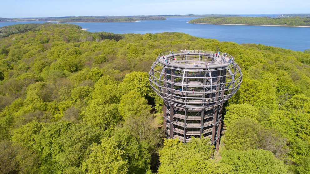 Baumwipfelpfad auf der Insel Rügen