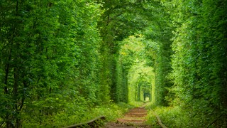 Die beeindruckendsten verlassenen Orte der Welt