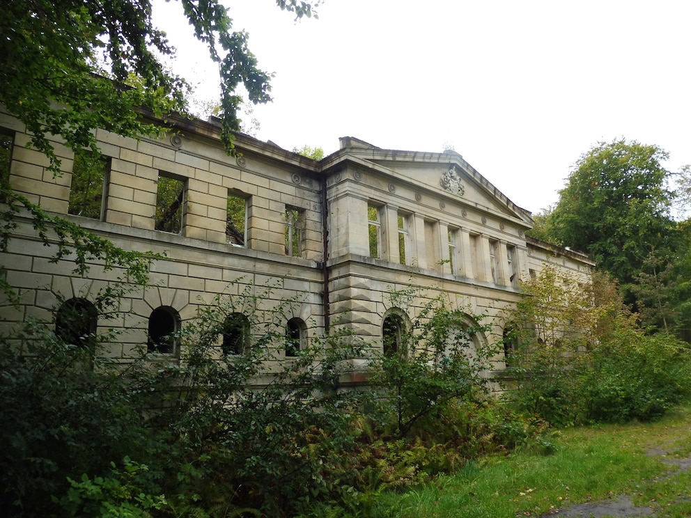 Die Fassade der Ruine von Schloss Dwasieden