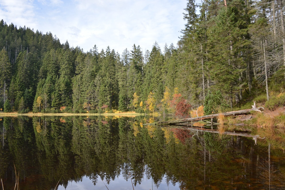 Schwarzwald Nationalpark