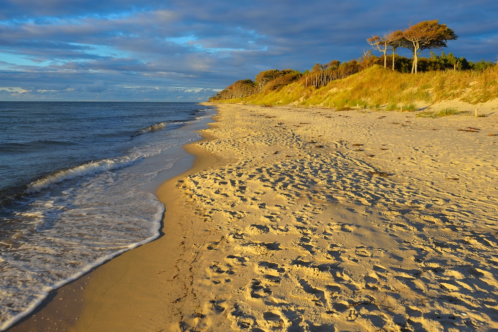 Fischland-Darß-Zingst Weststrand