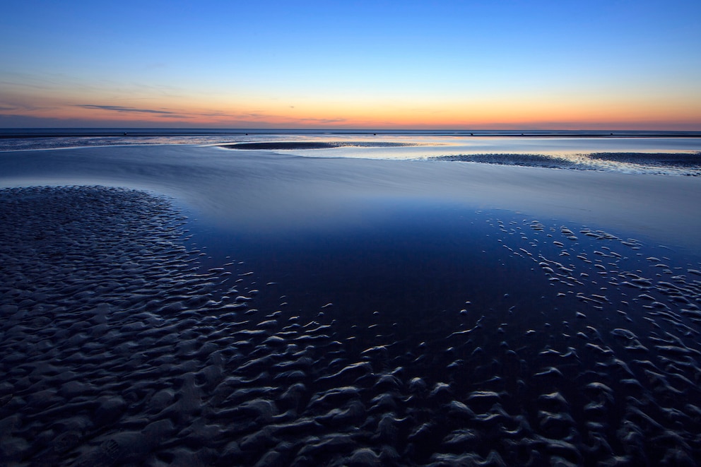 Schleswig-Holsteinisches Wattenmeer Nationalpark