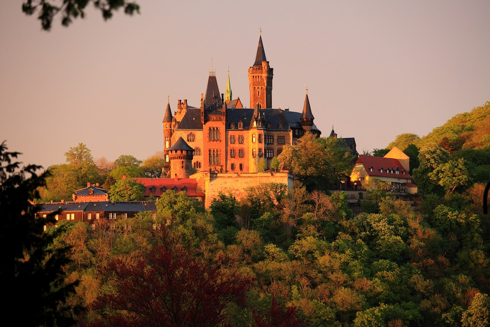 Harz