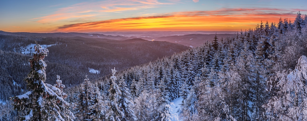 Nationalpark Harz