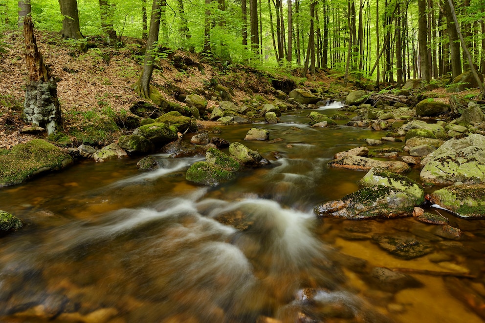 Harz