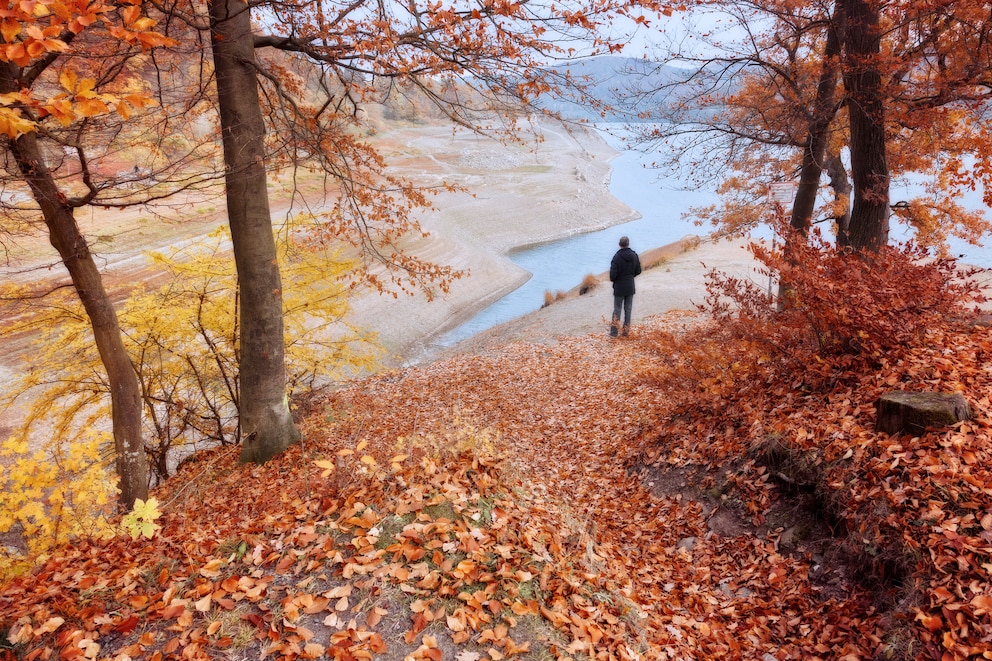 Kellerwald-Edersee Nationalpark