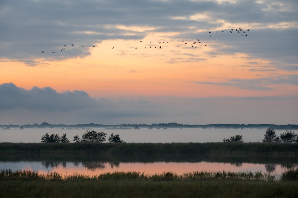 Vorpommersche Boddenlandschaft Nationalpark