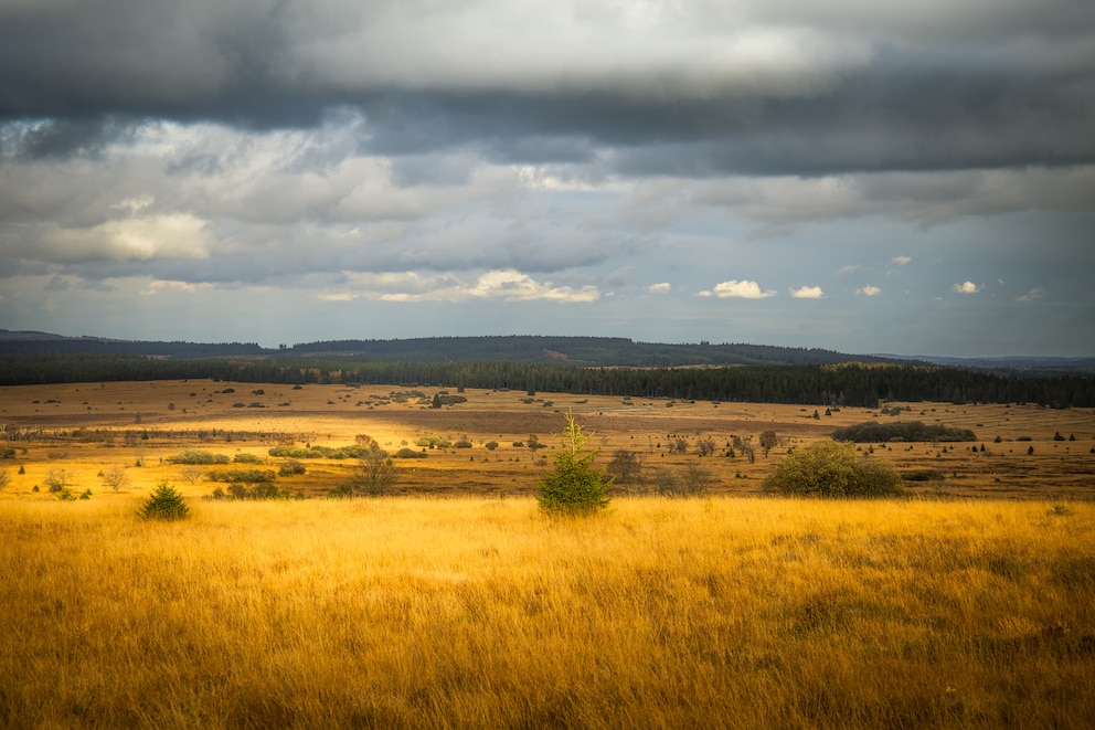 Eifel Nationalpark