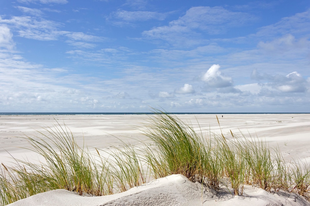 Amrum Kniepstand