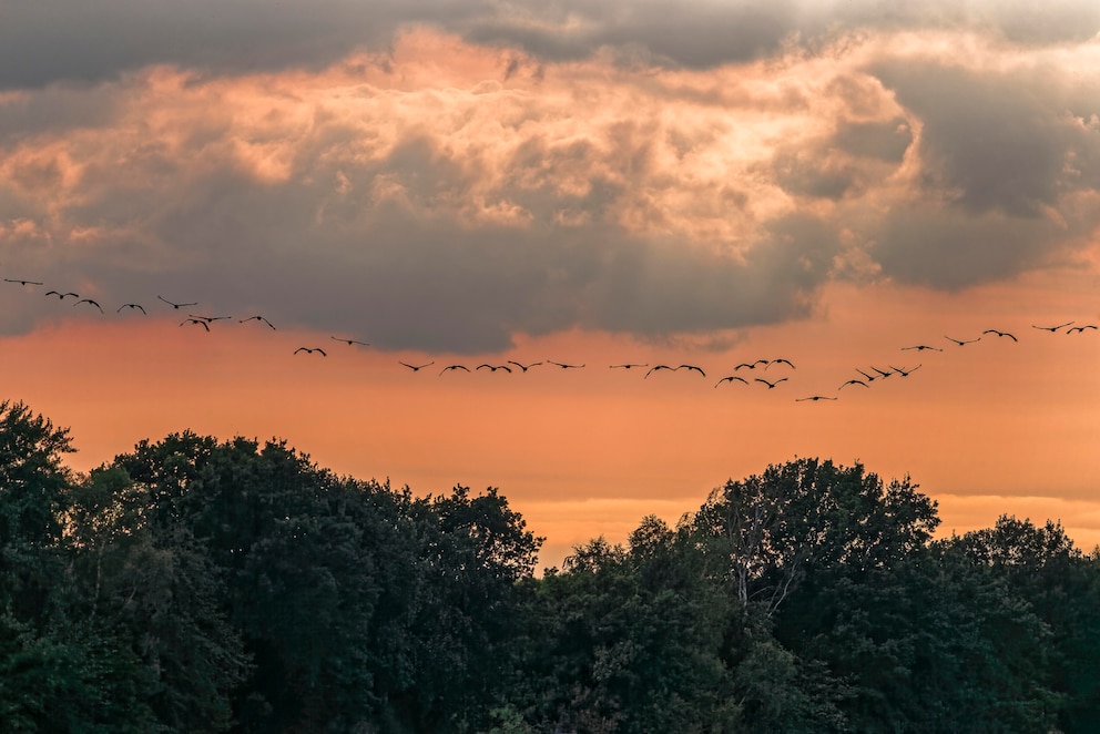 Müritz Nationalpark