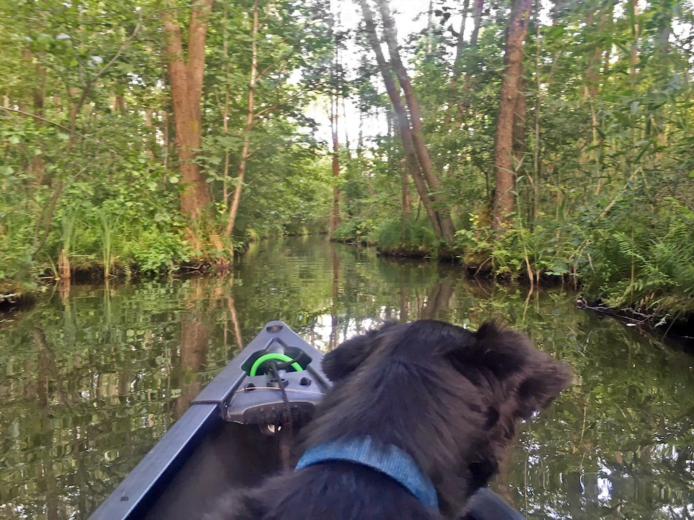 Wasserwandern