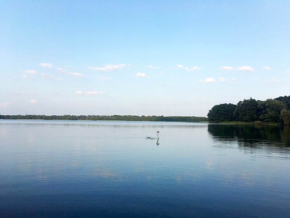 Wasserwandern