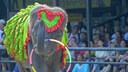 Elefantenshow Thailand