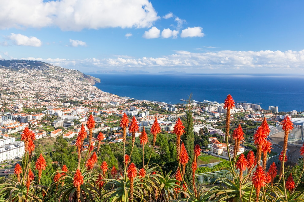  Blick über Madeiras schöne Hauptstadt Funchal