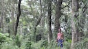 Jadav Payeng im Molai-Wald in Majuri