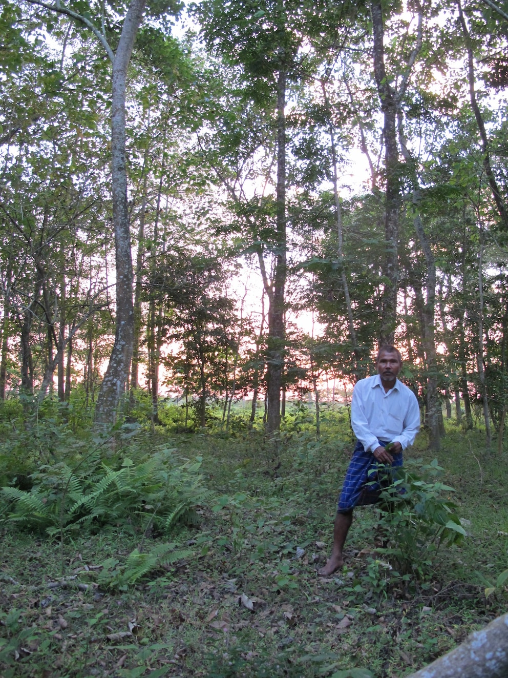 Jadav Payeng im Molai-Wald auf Majuli, Indien