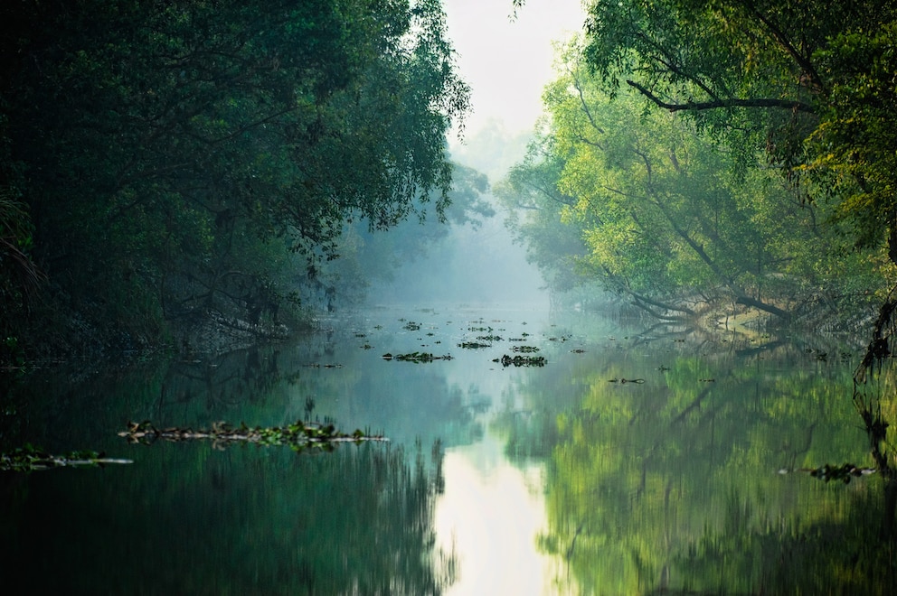 Ein Fluss im Südwesten von Bangladesch