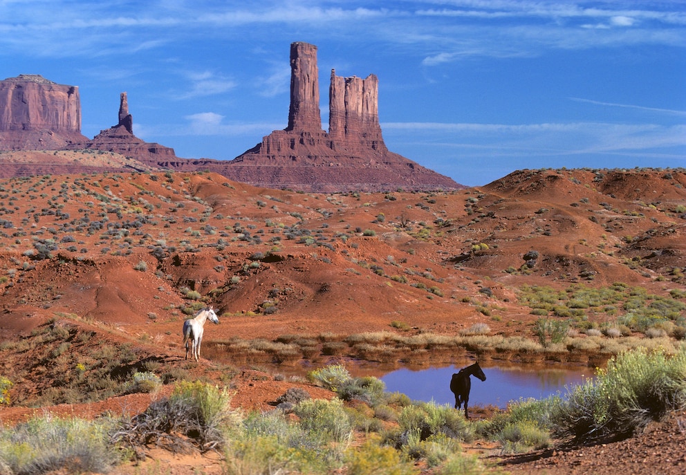 Great Basin Nationalpark, USA