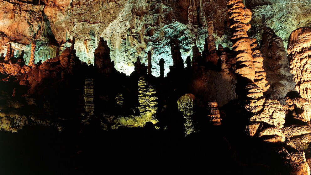 Grotta Gigante