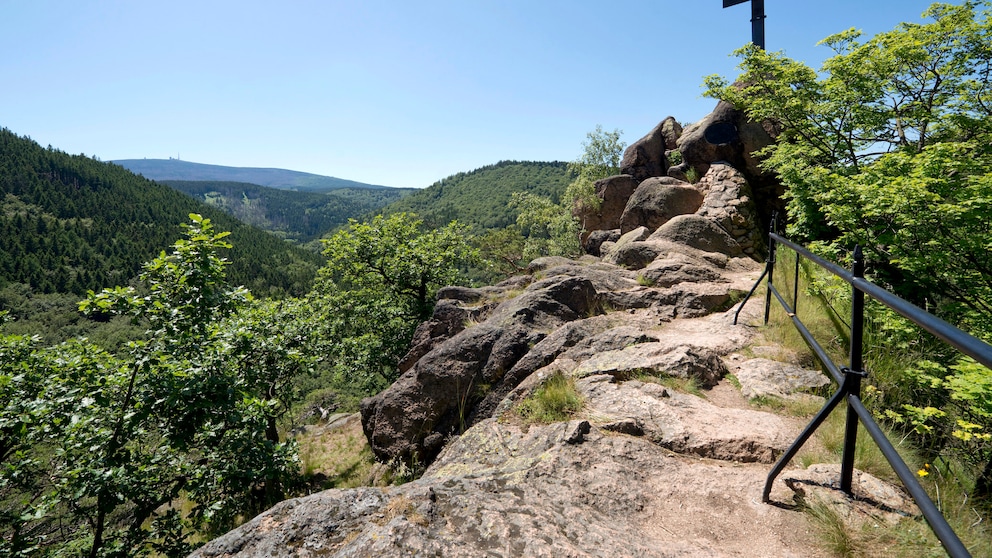 Ilsenstein, Harz