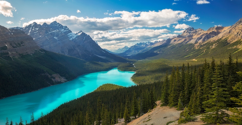 Peyto Lake in Kanada