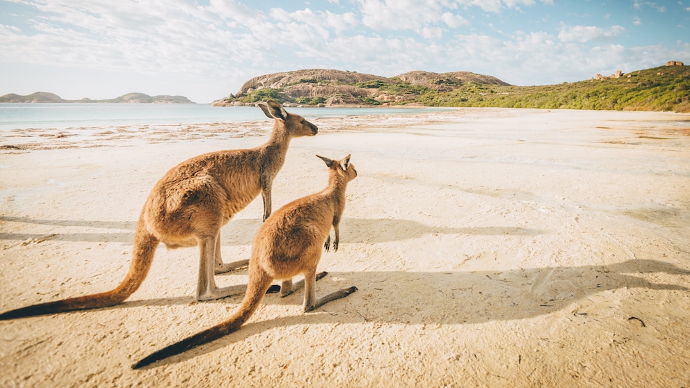 Australien Impfungen