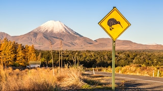 Neuseeland Impfung