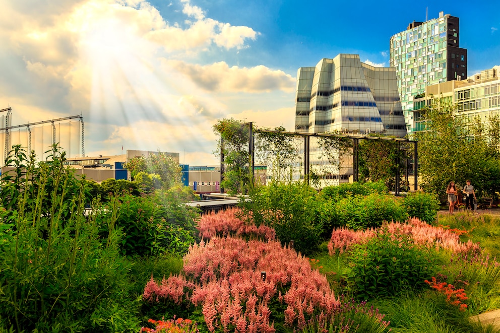 New Yorker High Line im Sommer