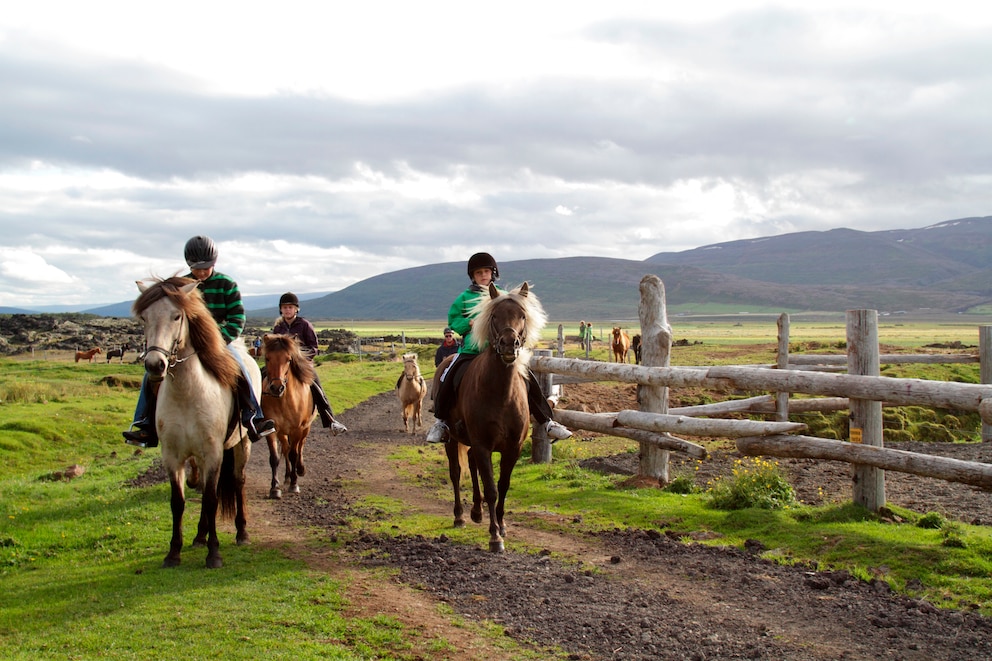 Reiten