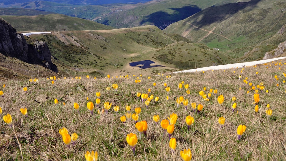 Šar-Planina-Gebirge, Albanien, Kosovo