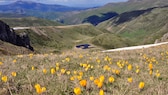 Šar-Planina-Gebirge, Albanien, Kosovo