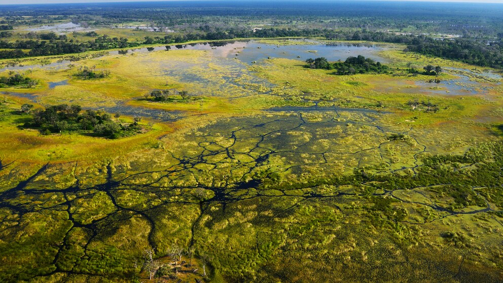 Okavango-Delta