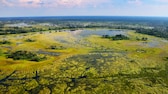 Okavango-Delta