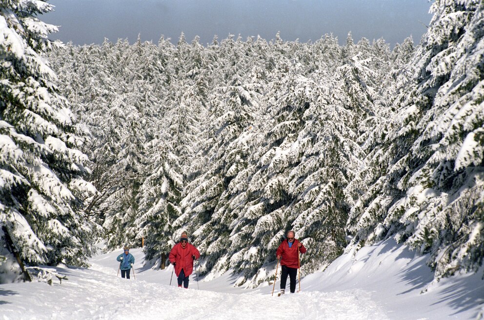 Thüringer Wald, Langlauf